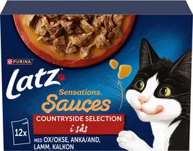 Latz